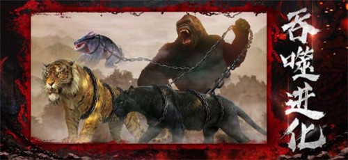 山海消消消的图册