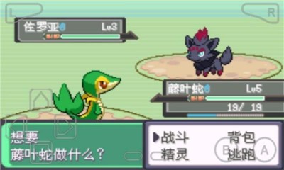 口袋妖怪漆黑的魅影5.0中文版的图册