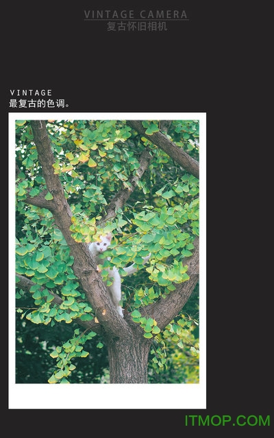 复古怀旧相机app的图册