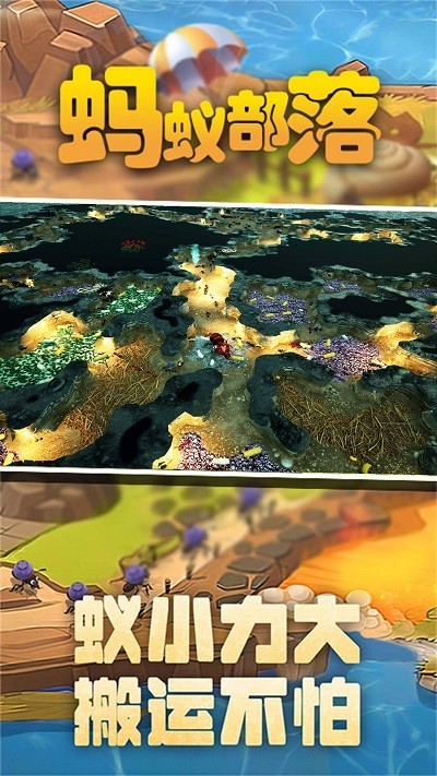 蚂蚁部落的图册
