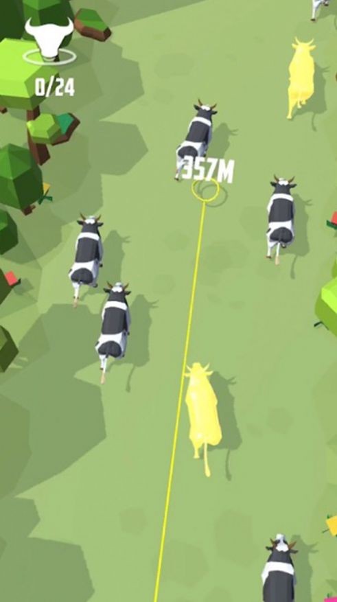 牛仔贼忙疯狂动物园的图册