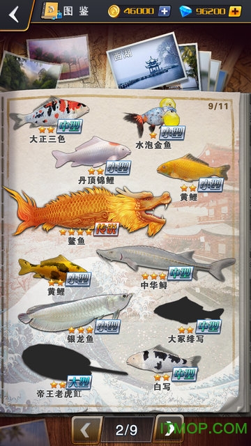 世界钓鱼之旅4399破解版的图册