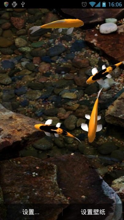 LiveWallpaperPicker.apk(原生提取)的图册