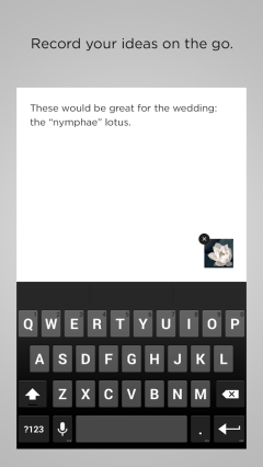 方格笔记:note(squarespace)的图册