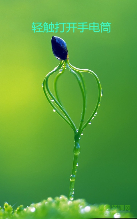 手电筒护眼宝手机版的图册