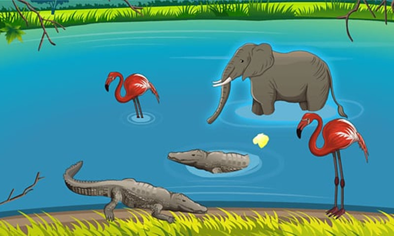 动物世界单机版的图册