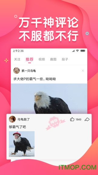 小龙虾搞笑的图册