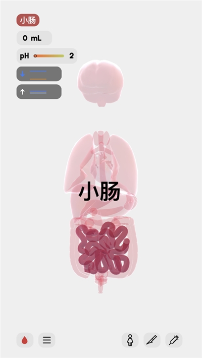生命LIFE官网最新版的图册