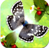 蝴蝶之星夜2安卓版