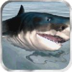 鲨鱼模拟器3D内购破解版