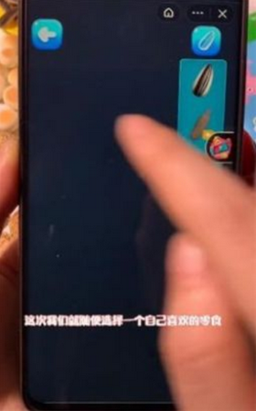 零食模拟器的图册