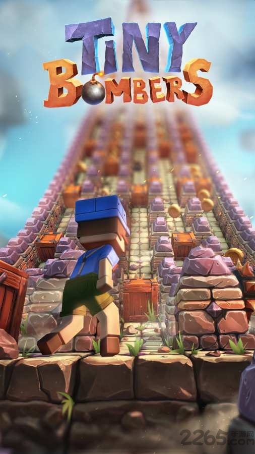 小小炸弹手游戏的图册