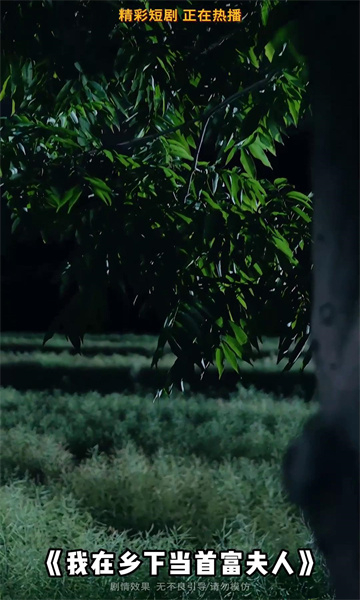 闲来刷剧软件官方版的图册