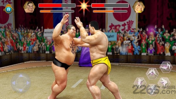 相扑明星摔跤2018无限生命版的图册