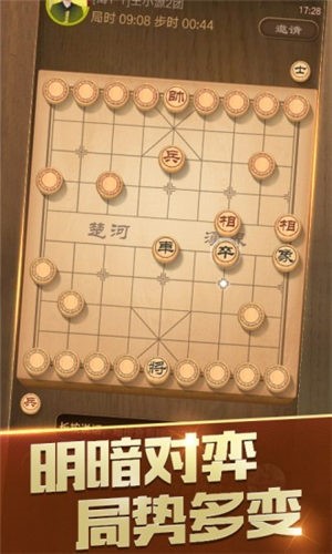 象棋巫师的图册