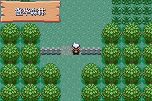 口袋妖怪绿宝石进化版的图册