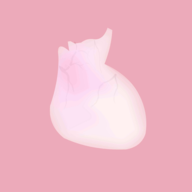 生命LIFE官网最新版