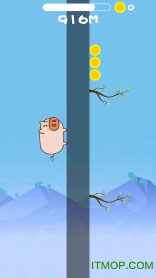 公猪上树之为了爱情的图册