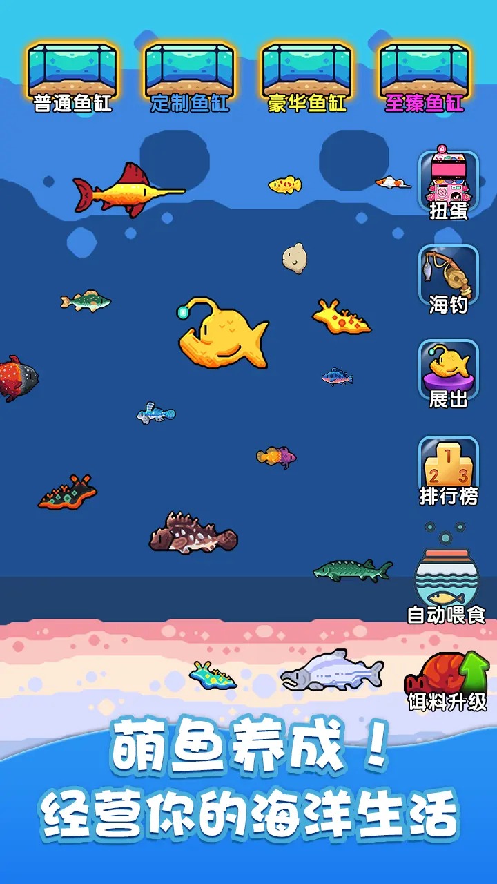快来养鱼手机版的图册