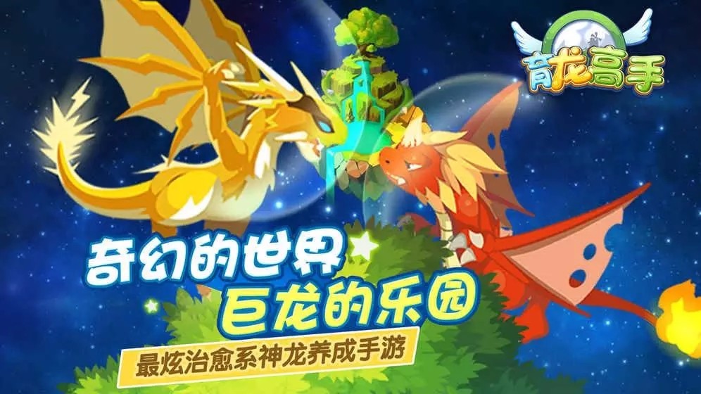 育龙高手的图册