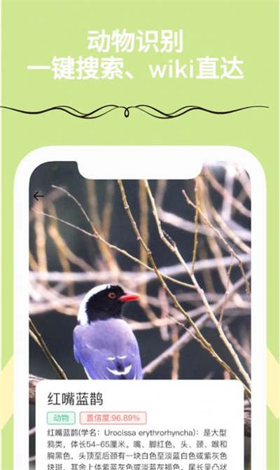 满分扫描王的图册