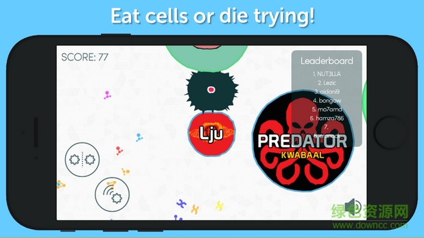 有丝分裂(Mitos.is)的图册