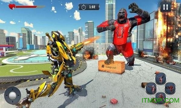 机器人大猩猩(gorillarobot)的图册