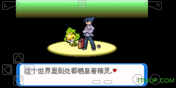 口袋妖怪圣灰手游的图册