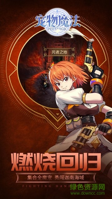 果盘游戏宠物魔法的图册