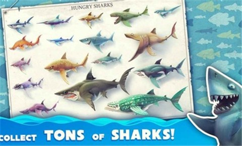 饥饿鲨世界最新版的图册