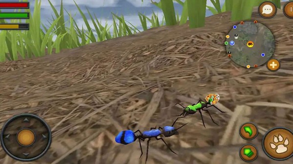 全员加速之疯狂加速的图册