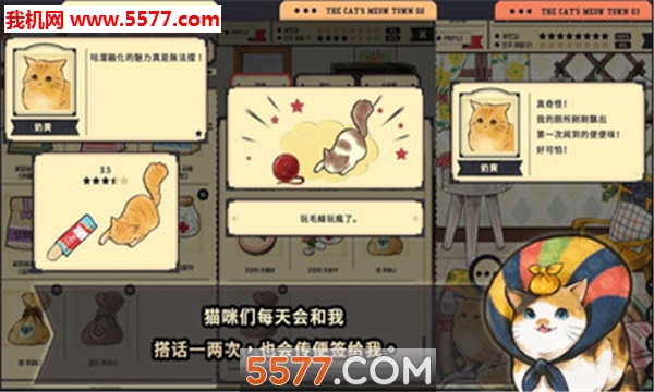 猫咪天堂官方版的图册