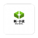 新小说