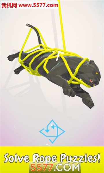 Untangle(解救动物3D安卓版)的图册