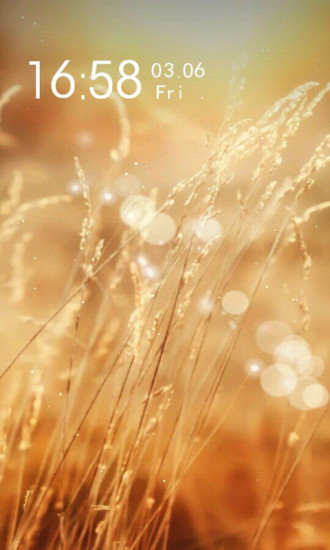 乐壁纸手机版的图册