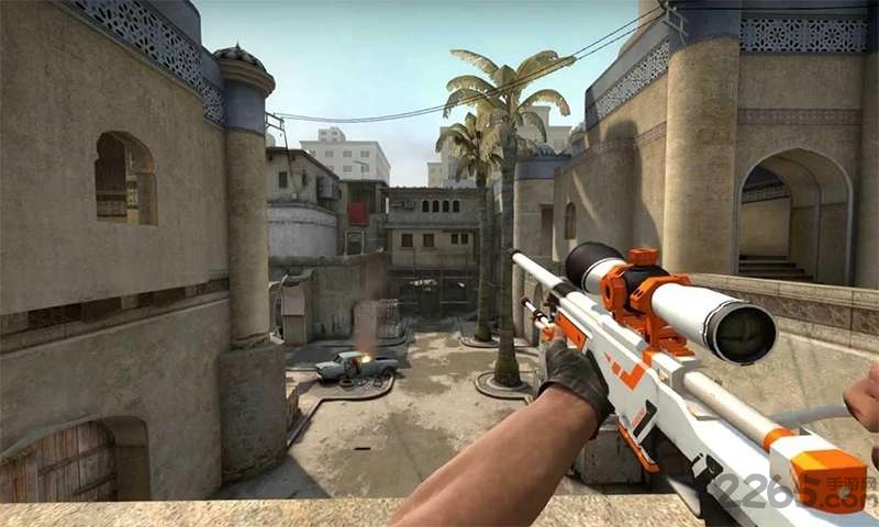 和平菁英手游的图册