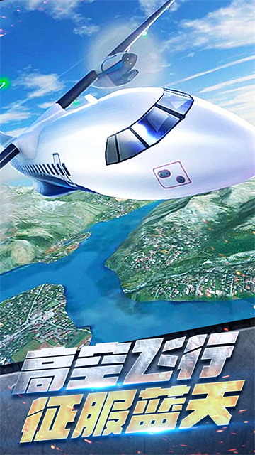 飞机空战模拟的图册