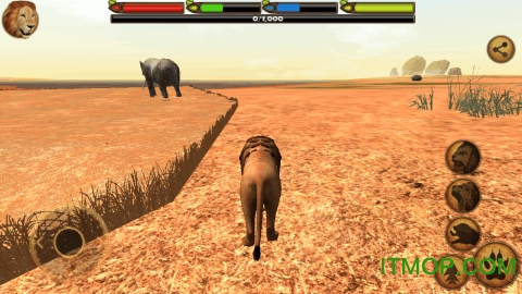 终极狮王模拟器最新版的图册