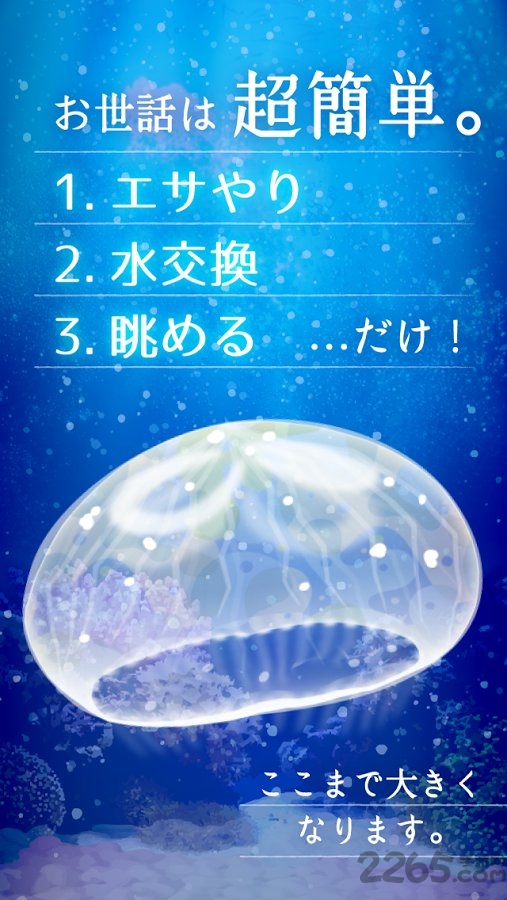 治愈系水母养成游戏的图册