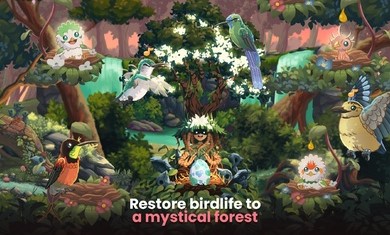 鸟类世界最新版的图册