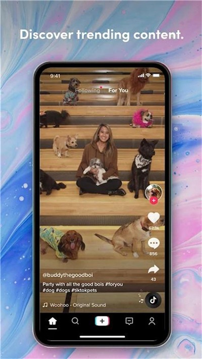 抖音国际版tiktok官方版的图册