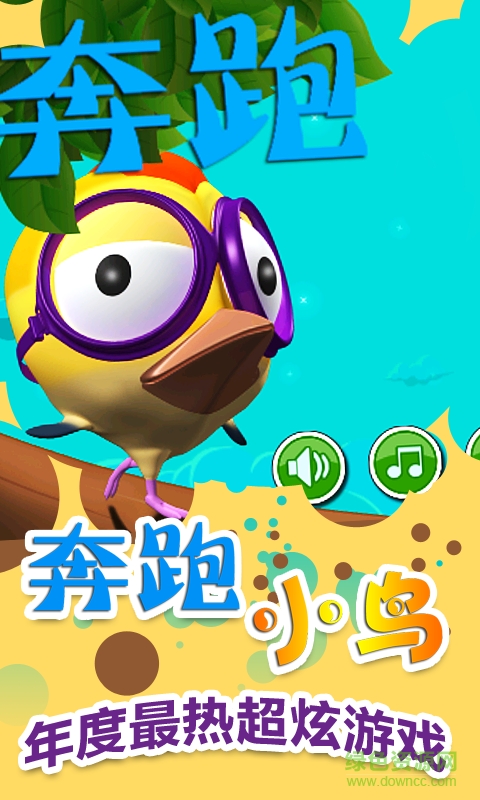 奔跑小鸟手机版的图册