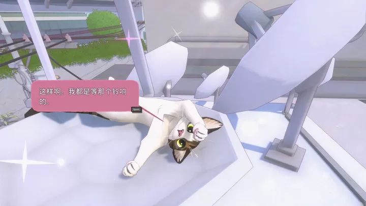 小猫咪大城市2024最新版的图册