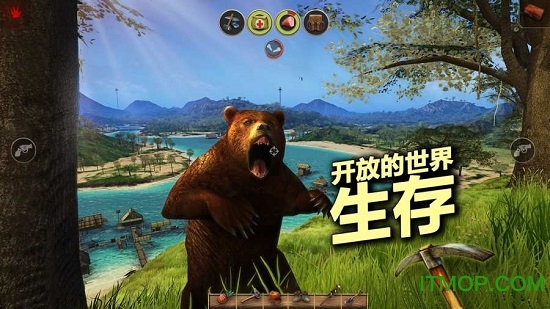 辐射岛中文版(RadiationIsland)的图册