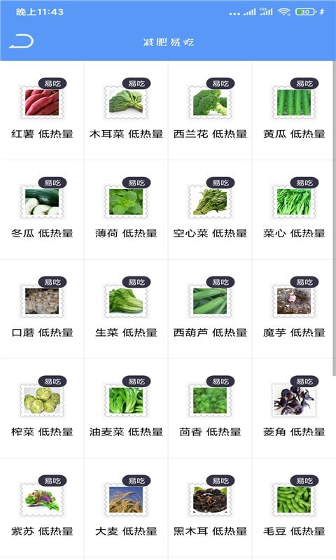 Fit瘦身减肥最新版的图册