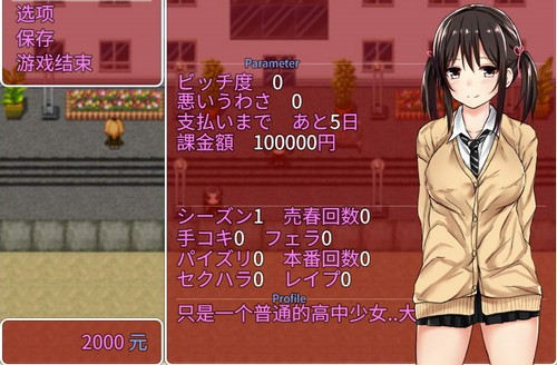 负债少女的图册