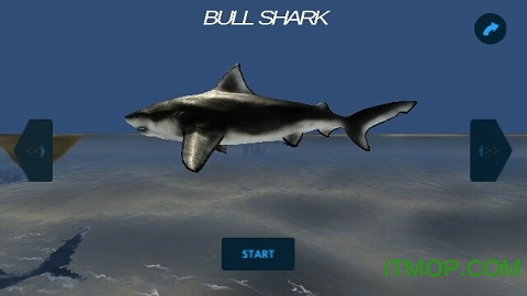 鲨鱼模拟器3D内购破解版的图册