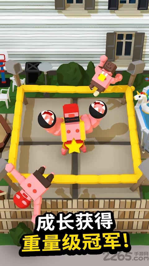 闲置拳击手手机版的图册