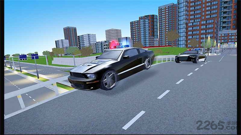 警察驾驶学校无限金币破解版的图册