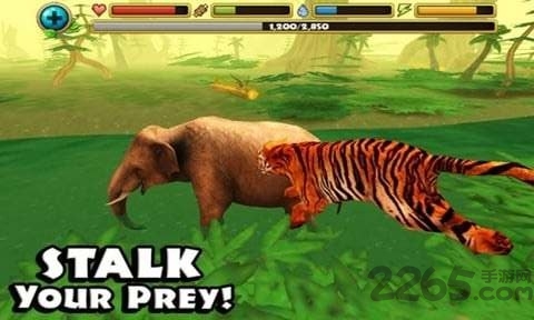 虎王模拟器游戏解锁版的图册